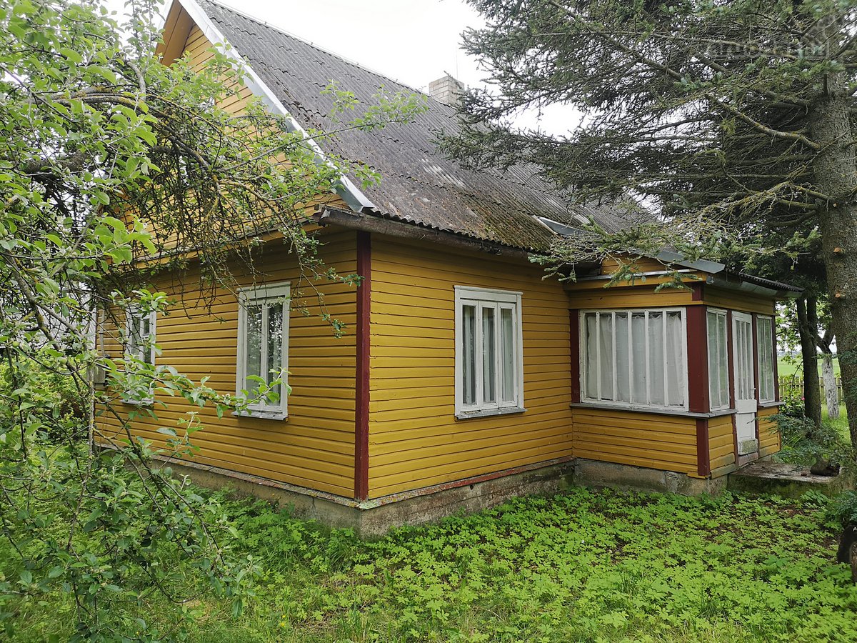 Parduodamas jaukus, prižiūrėtas 3 kambarių - nuotraukos Nr. 2