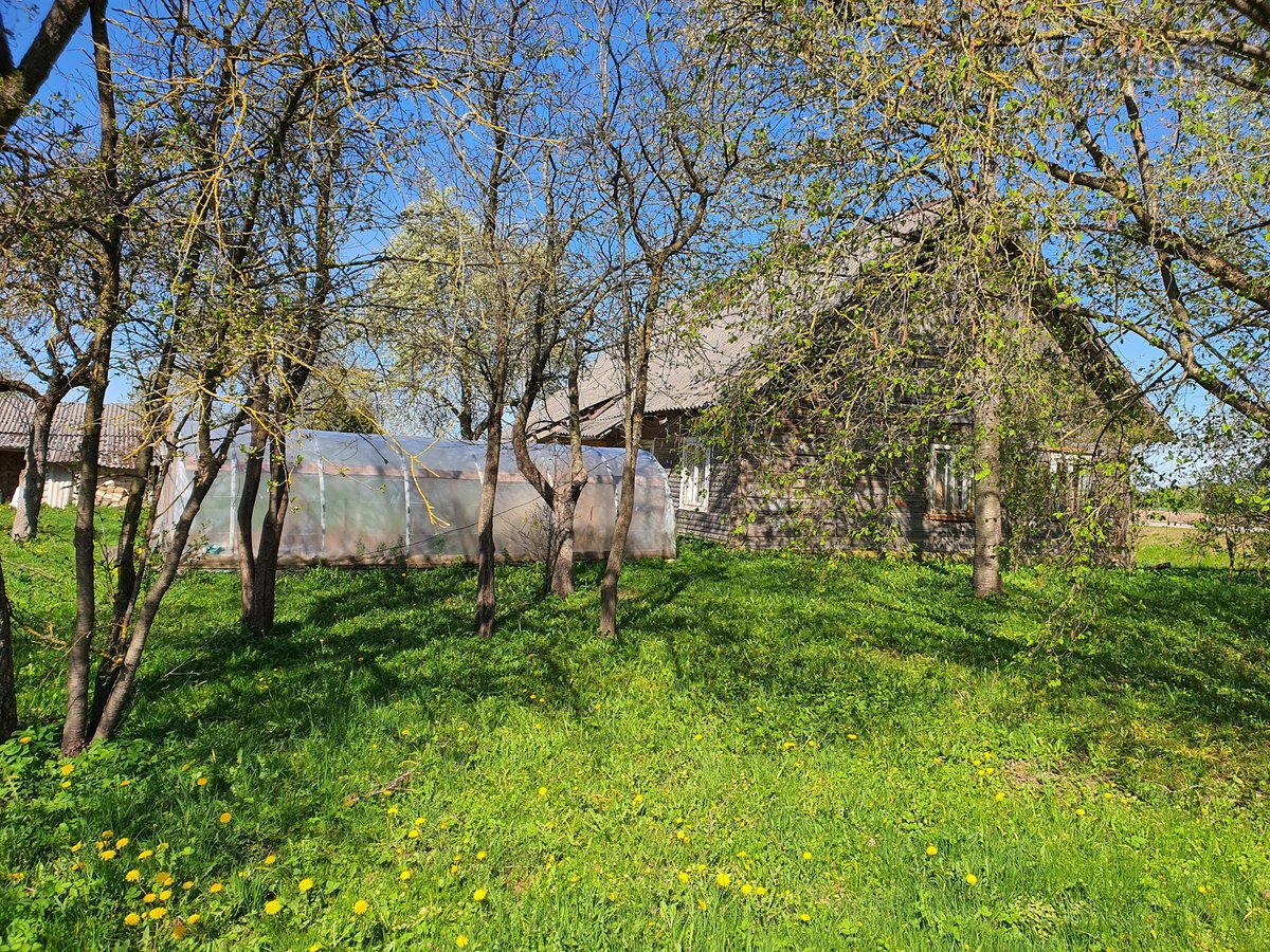 Parduodama sodyba su 8,75 ha. žemės sklypu, - nuotraukos Nr. 5