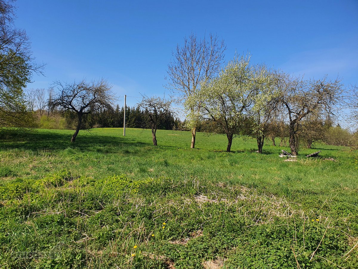 Parduodama sodyba su 8,75 ha. žemės sklypu, - nuotraukos Nr. 7