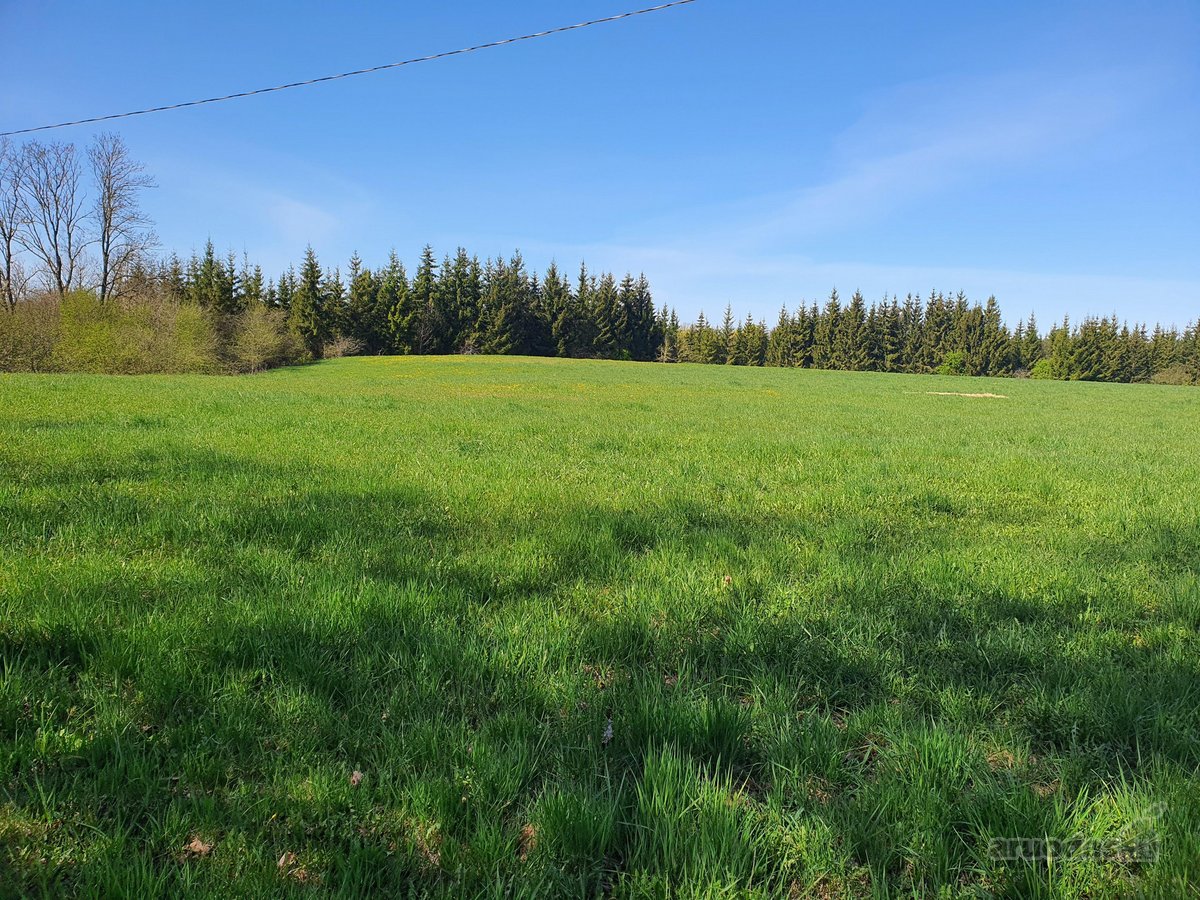 Parduodama sodyba su 8,75 ha. žemės sklypu, - nuotraukos Nr. 10