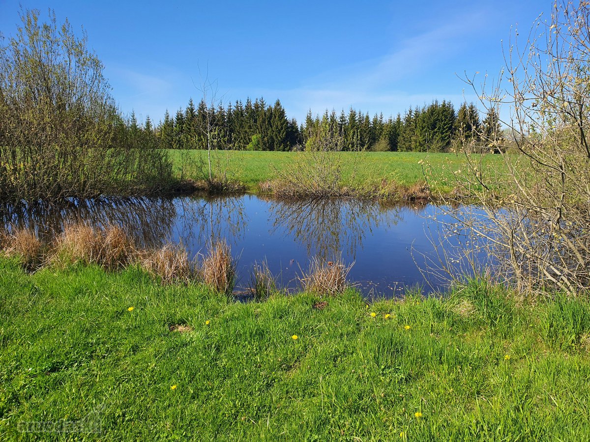Parduodama sodyba su 8,75 ha. žemės sklypu, - nuotraukos Nr. 6