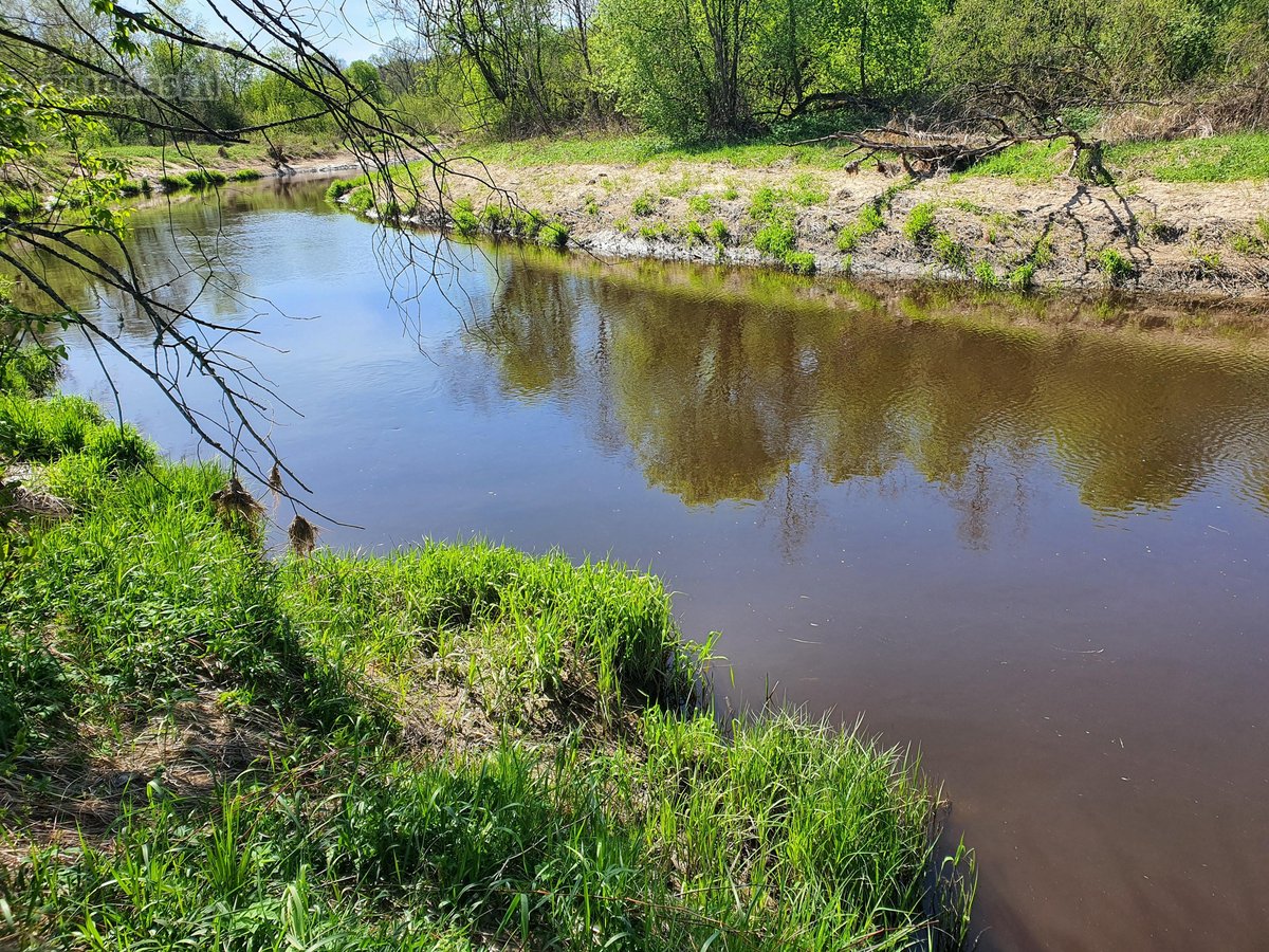 Parduodama sodyba su 8,75 ha. žemės sklypu, - nuotraukos Nr. 12