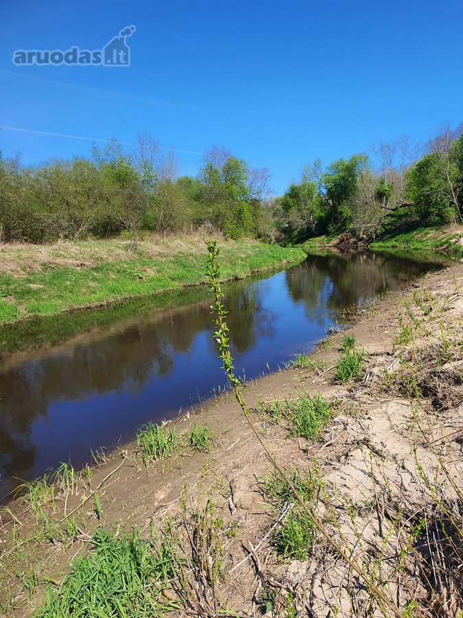 Parduodama sodyba su 8,75 ha. žemės sklypu, - nuotraukos Nr. 13