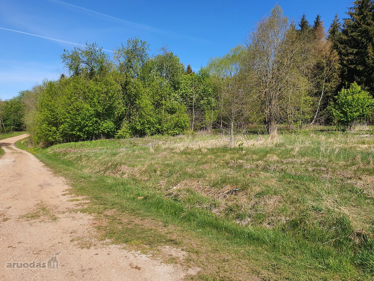 Parduodama sodyba su 8,75 ha. žemės sklypu, - nuotraukos Nr. 14