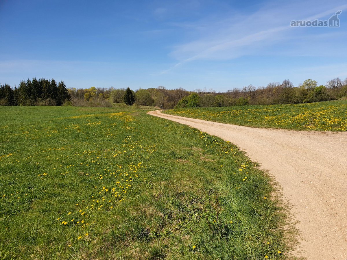 Parduodama sodyba su 8,75 ha. žemės sklypu, - nuotraukos Nr. 8