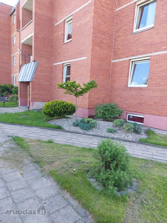 Tvarkingas, gera vieta, aplink nėra