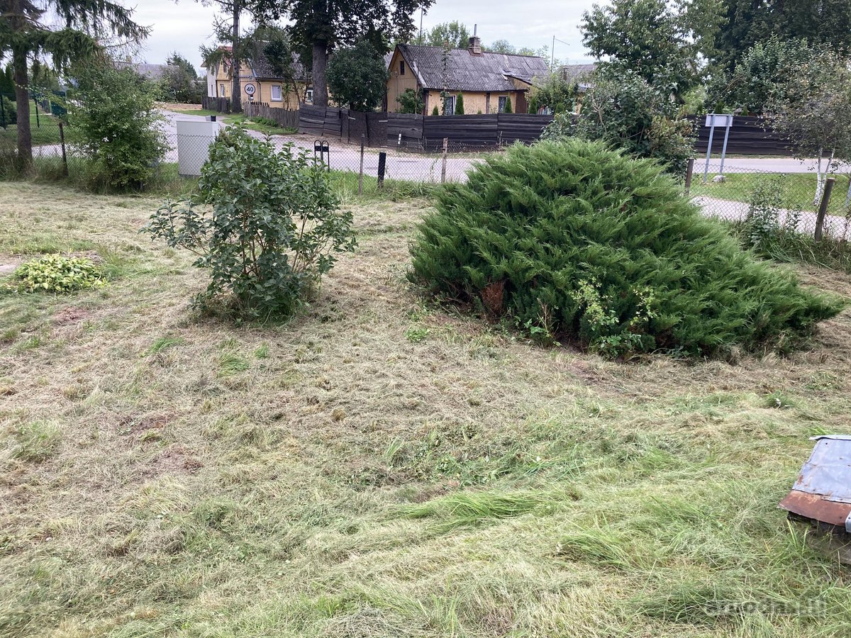 Parduodamas sklypas Pumpėnuose. Yra seno namo - nuotraukos Nr. 4