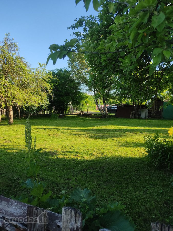 Jaukus sodo namelis su 7,87 arų sklypu - nuotraukos Nr. 18