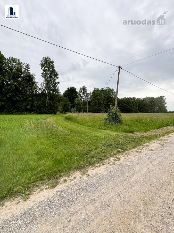 Suvalkijos miškų apsuptyje parduodama erdvi - nuotraukos Nr. 8