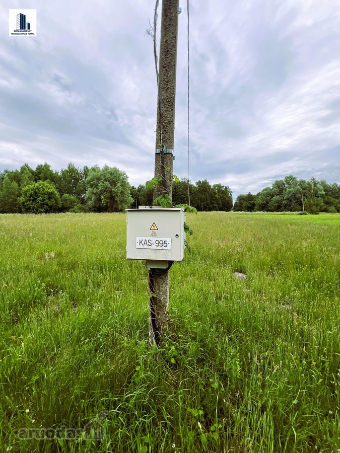 Suvalkijos miškų apsuptyje parduodama erdvi - nuotraukos Nr. 25
