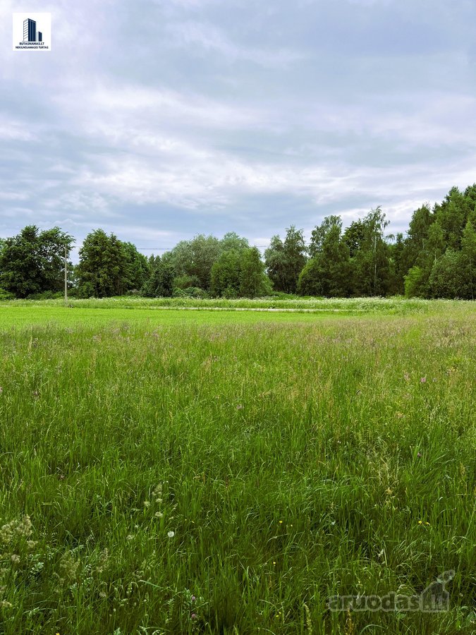 Suvalkijos miškų apsuptyje parduodama erdvi - nuotraukos Nr. 26