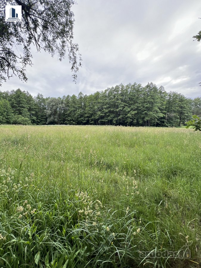 Suvalkijos miškų apsuptyje parduodama erdvi - nuotraukos Nr. 27