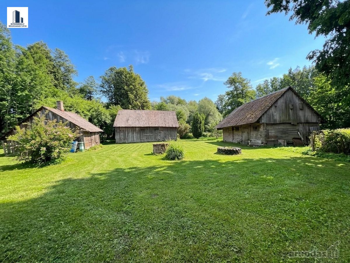 Suvalkijos miškų apsuptyje parduodama erdvi - nuotraukos Nr. 7