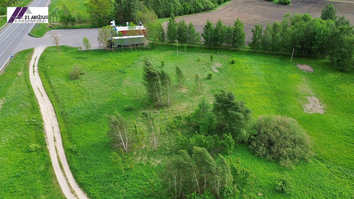 Parduodami du žemės ūkio sklypai Panevėžio r. - nuotraukos Nr. 3