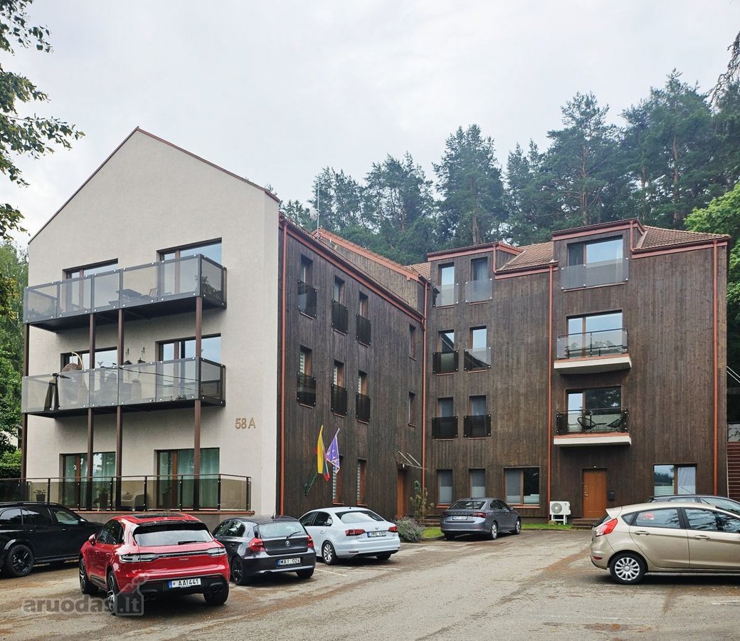 Kairiajame Nemuno krante, pušimis - nuotraukos Nr. 18