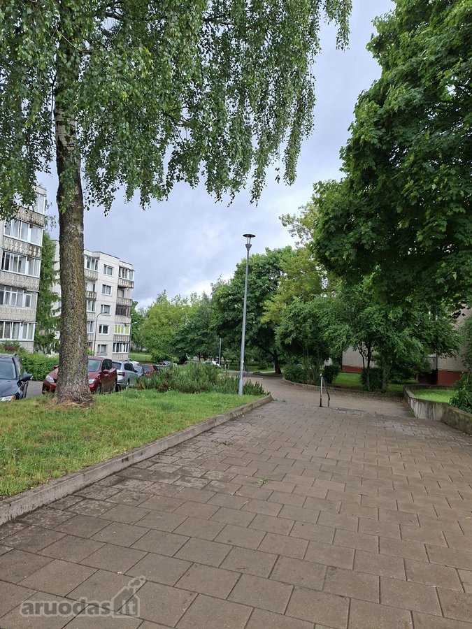 Parduodamas tvarkingas, prižiūrėtas, - nuotraukos Nr. 28