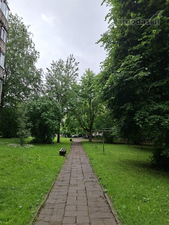 Parduodamas tvarkingas, prižiūrėtas, - nuotraukos Nr. 29