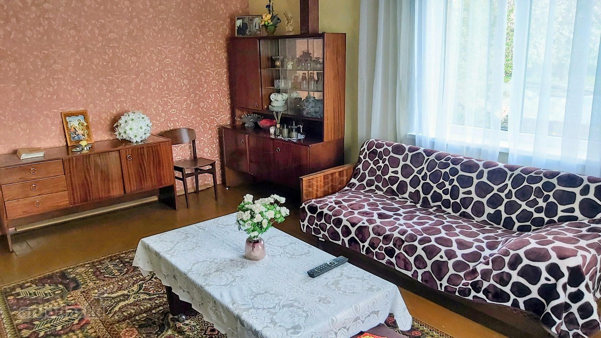 Labai gražioje,ramioje oliesi - nuotraukos Nr. 6