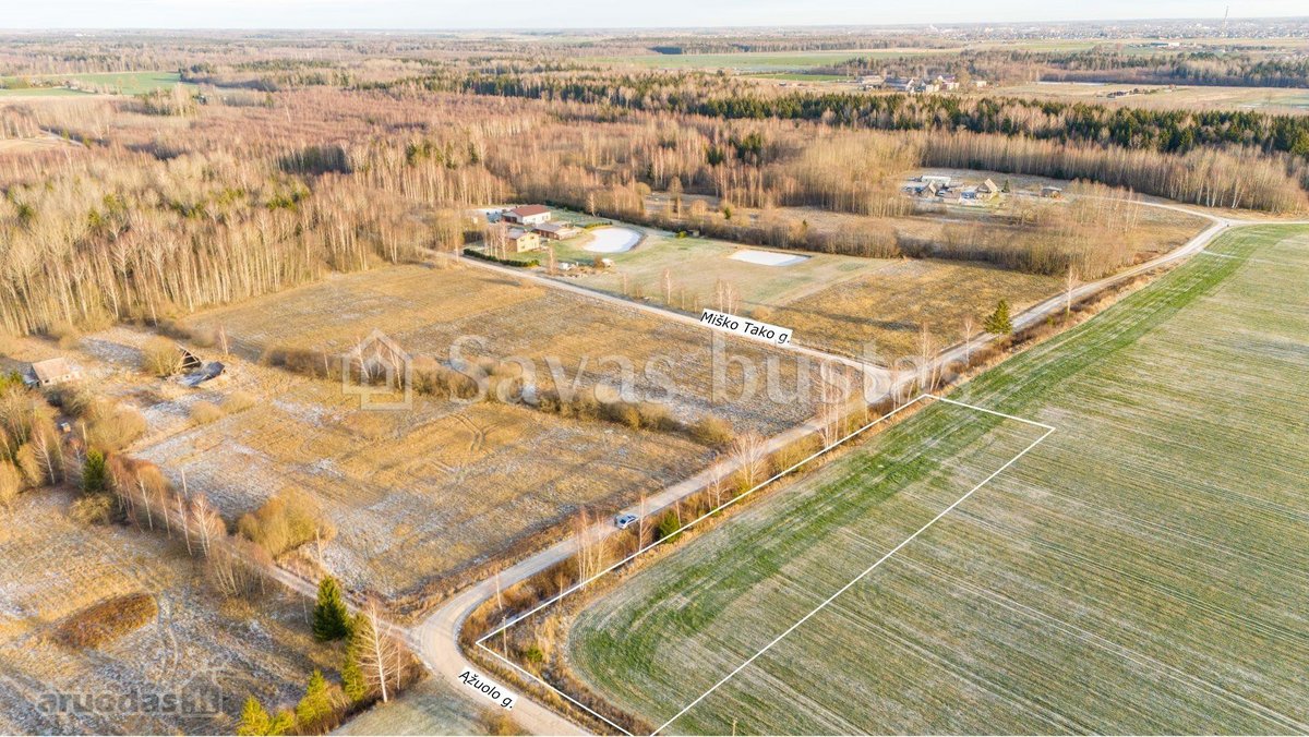 Parduodamas 43,5 arų žemės ūkio paskirties - nuotraukos Nr. 9