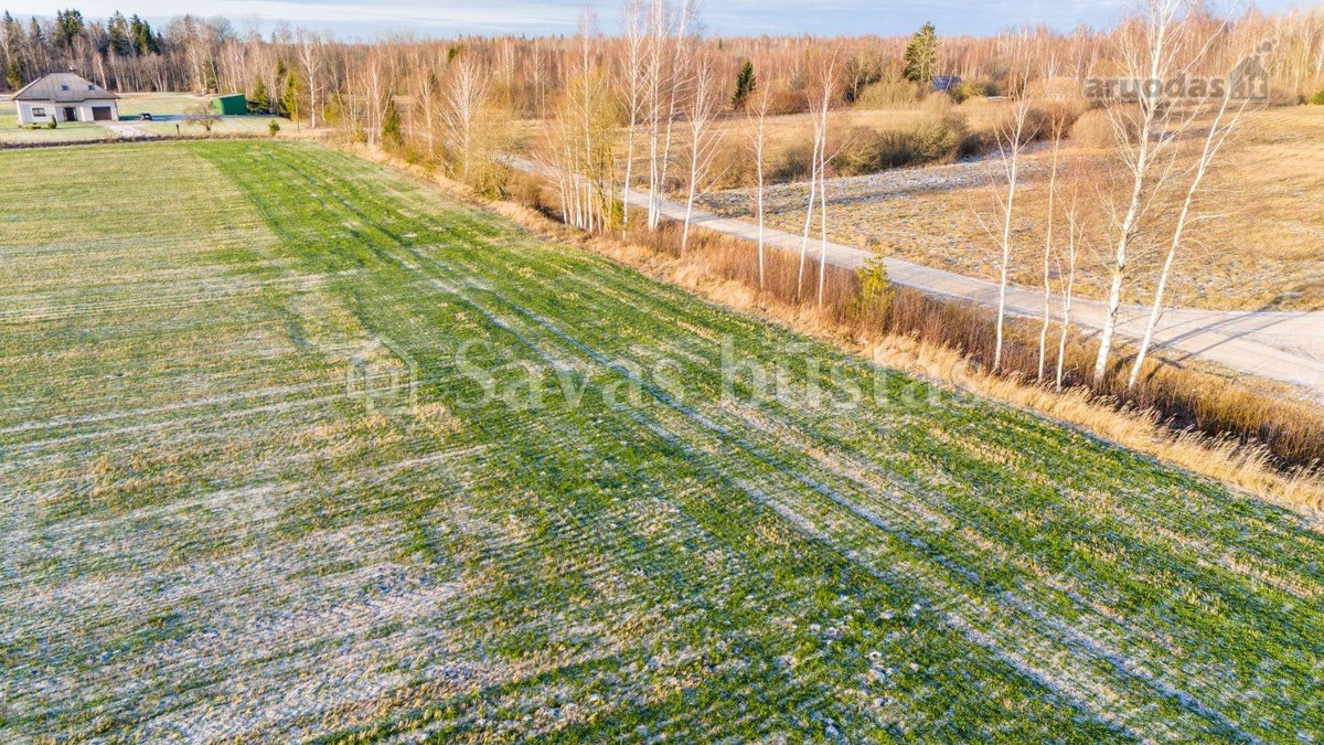 Parduodamas 43,5 arų žemės ūkio paskirties - nuotraukos Nr. 11