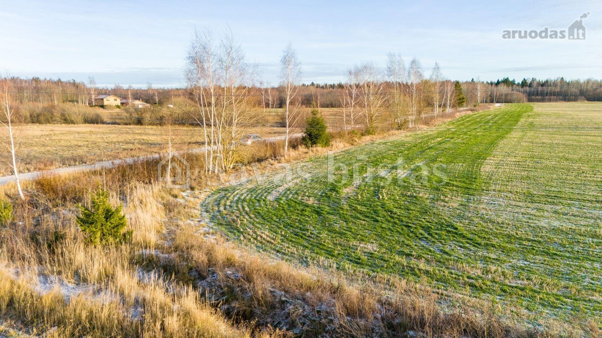Parduodamas 43,5 arų žemės ūkio paskirties - nuotraukos Nr. 12