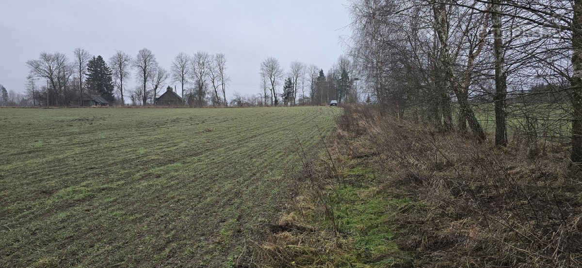 Parduodamas Dirbamas 5,9 ha žemės sklypas - nuotraukos Nr. 4