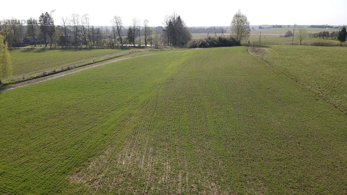 Parduodamas Dirbamas 5,9 ha žemės sklypas - nuotraukos Nr. 5