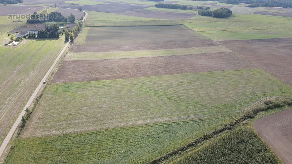 Parduodamas 3 ha žemės sklypas Šakių raj. - nuotraukos Nr. 3