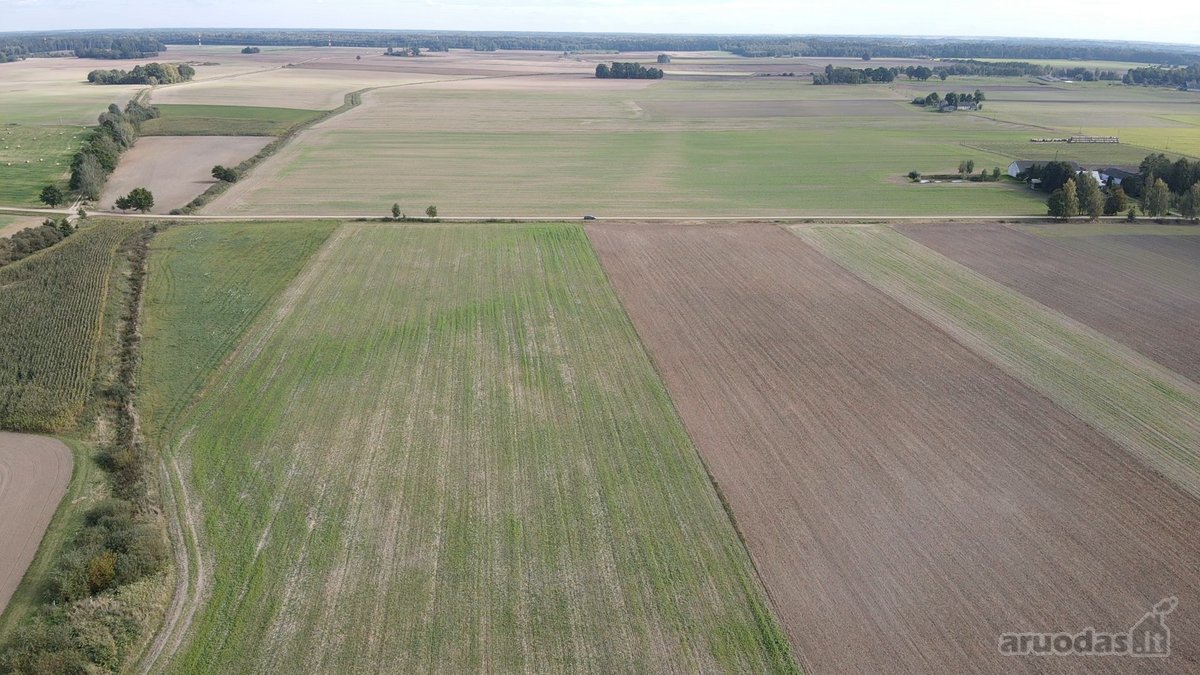 Parduodamas 3 ha žemės sklypas Šakių raj. - nuotraukos Nr. 4