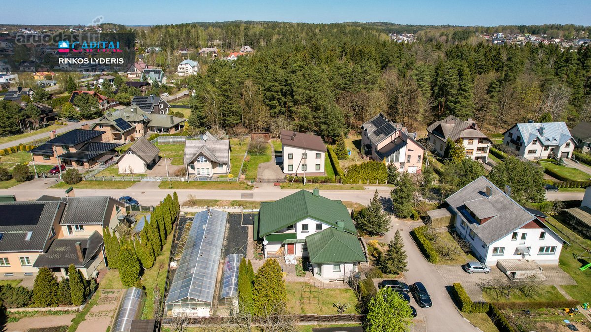 Solidžioje ir pilnai susiformavusioje Bajorų - nuotraukos Nr. 47