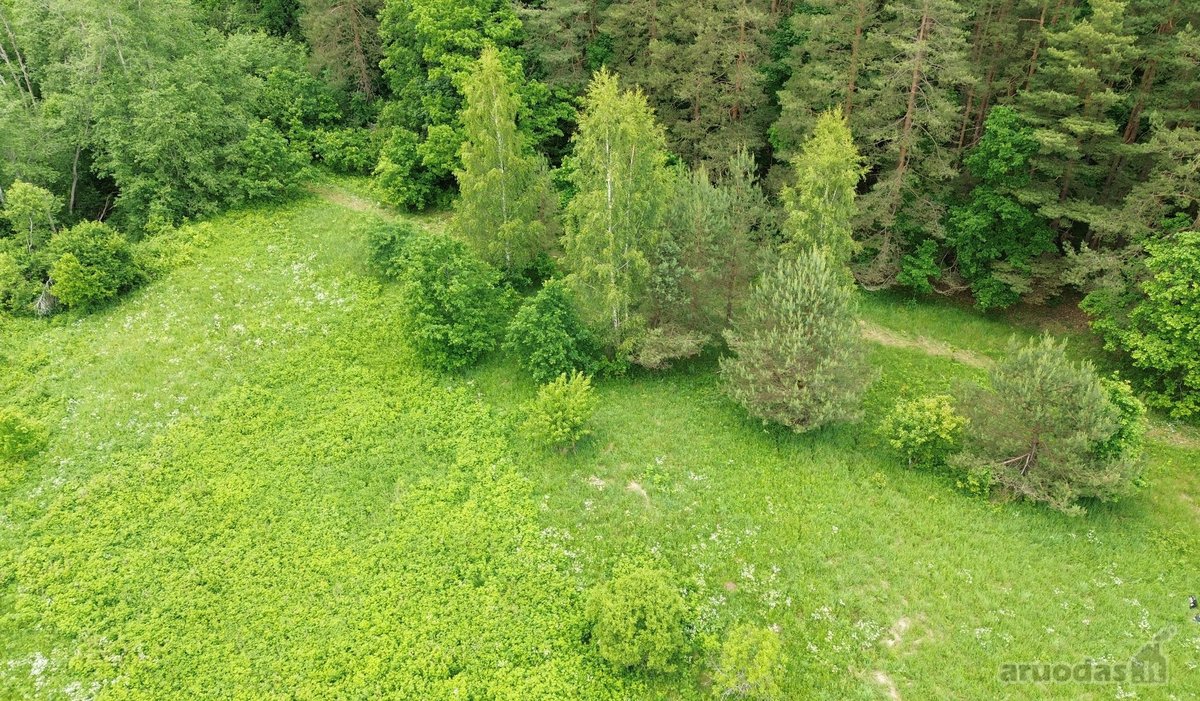 540 metrų Šventosios upės pakrantės ir erdvus - nuotraukos Nr. 11