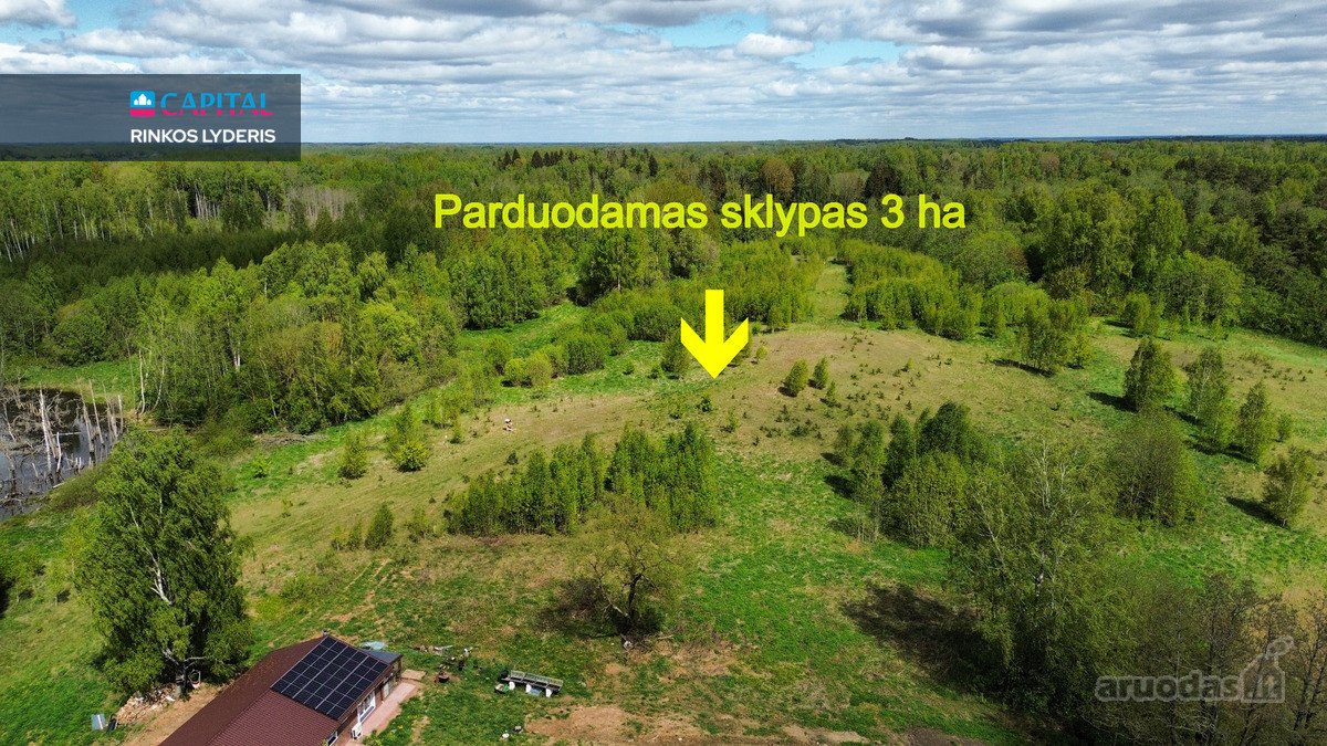 Netoli Varniškių ežero gražioje vietoje - nuotraukos Nr. 2