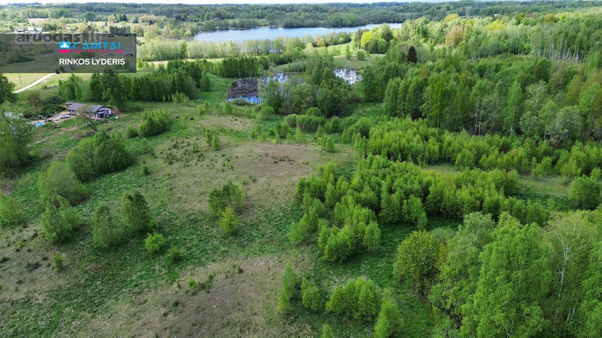 Netoli Varniškių ežero gražioje vietoje - nuotraukos Nr. 17