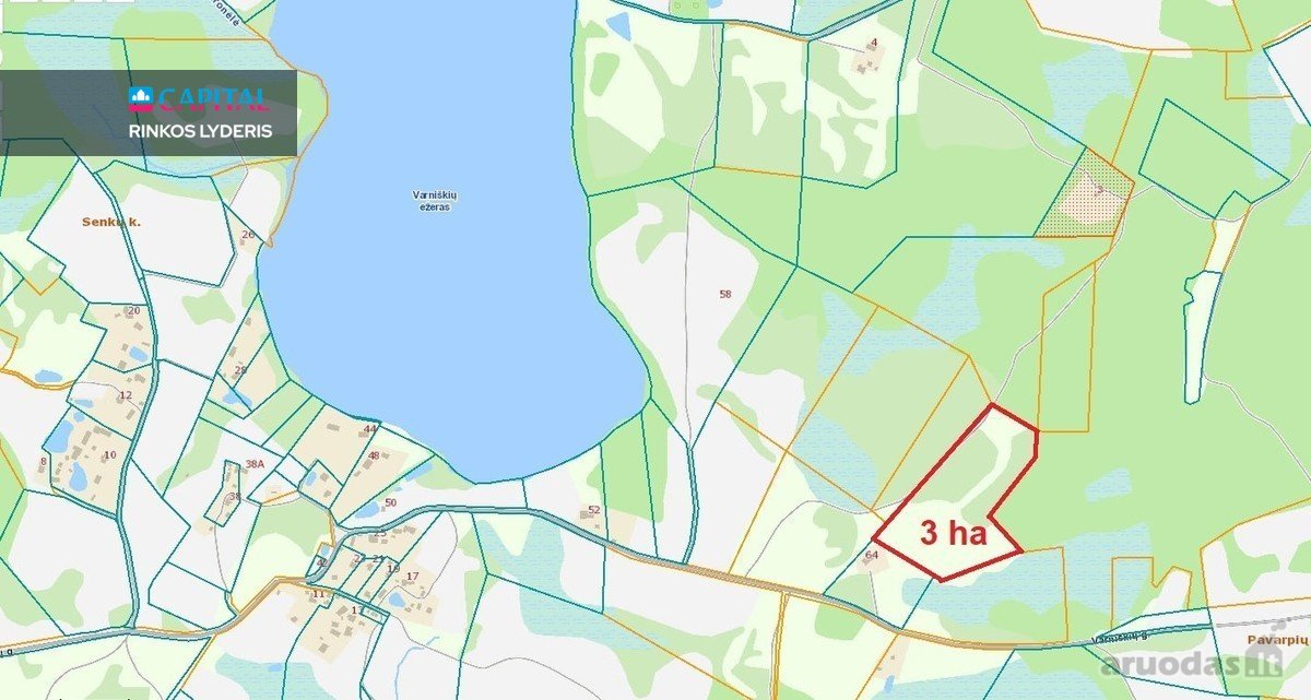 Netoli Varniškių ežero gražioje vietoje - nuotraukos Nr. 34