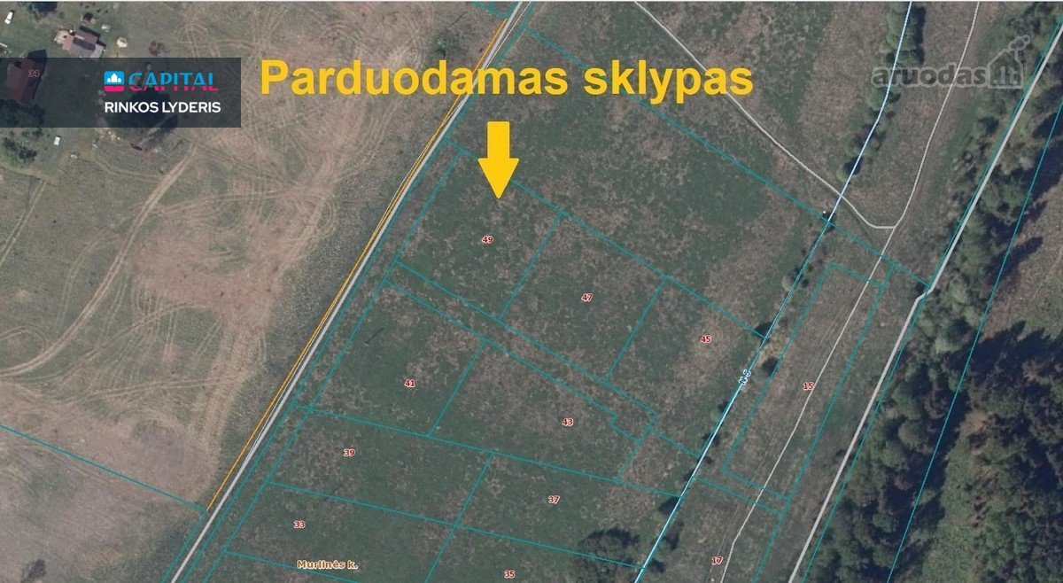 Vos 2,8 km. nuo Nemėžio, gražioje vietoje - nuotraukos Nr. 7