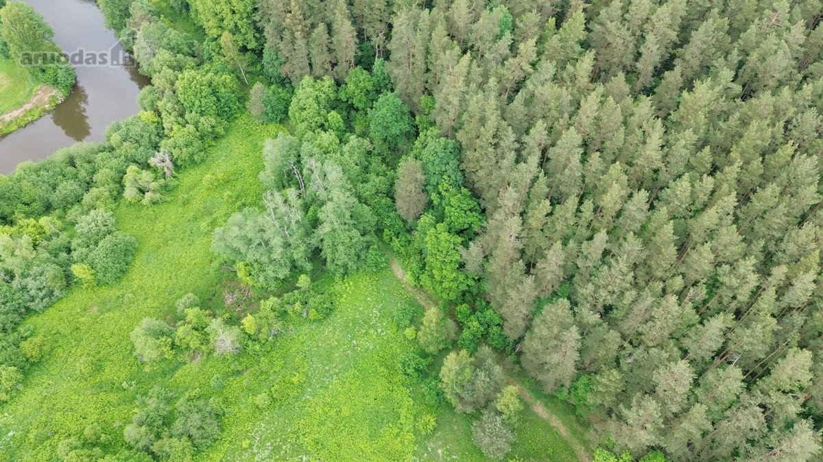 540 metrų Šventosios upės pakrantės ir erdvus - nuotraukos Nr. 12