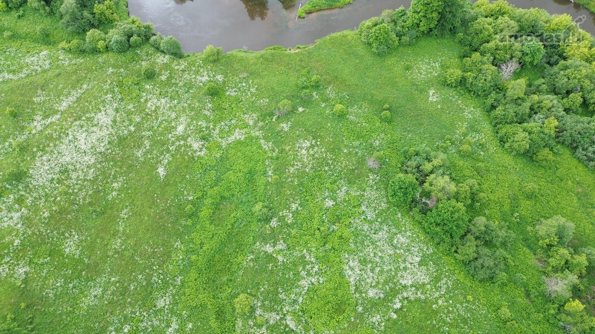 540 metrų Šventosios upės pakrantės ir erdvus - nuotraukos Nr. 13
