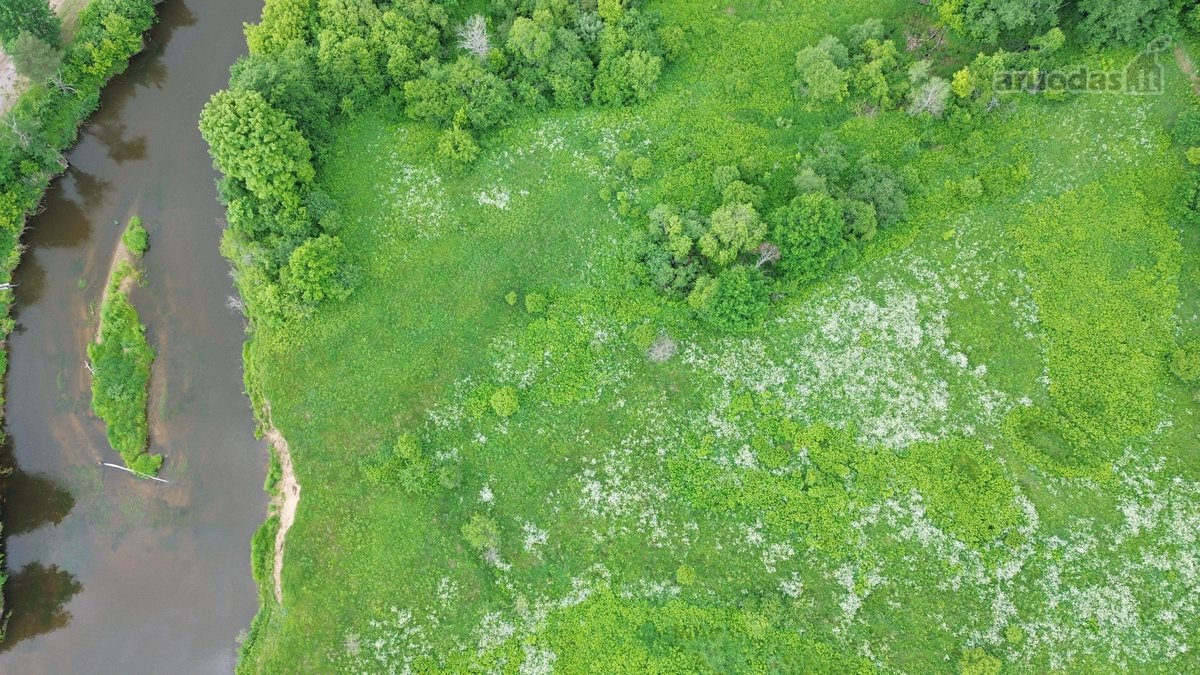 540 metrų Šventosios upės pakrantės ir erdvus - nuotraukos Nr. 14