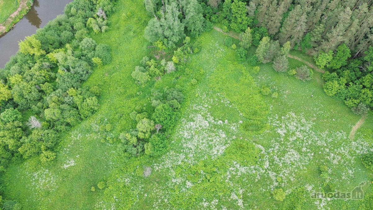 540 metrų Šventosios upės pakrantės ir erdvus - nuotraukos Nr. 15