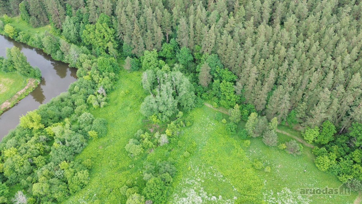 540 metrų Šventosios upės pakrantės ir erdvus - nuotraukos Nr. 16