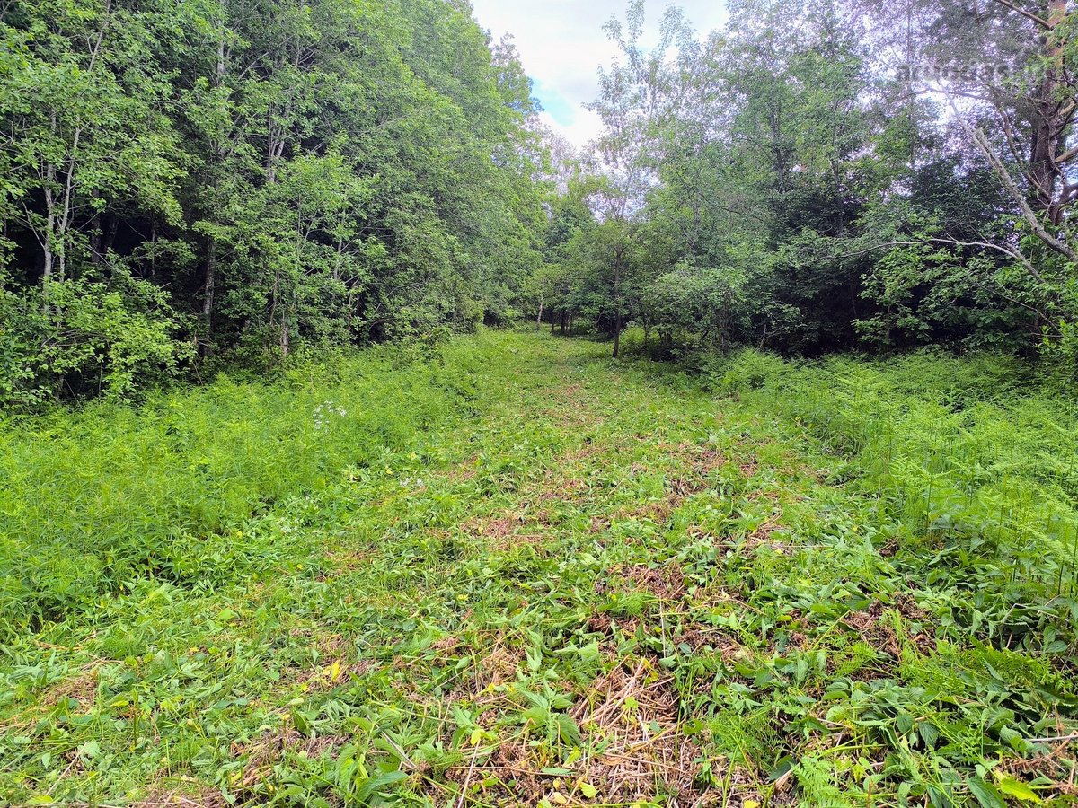 540 metrų Šventosios upės pakrantės ir erdvus - nuotraukos Nr. 17