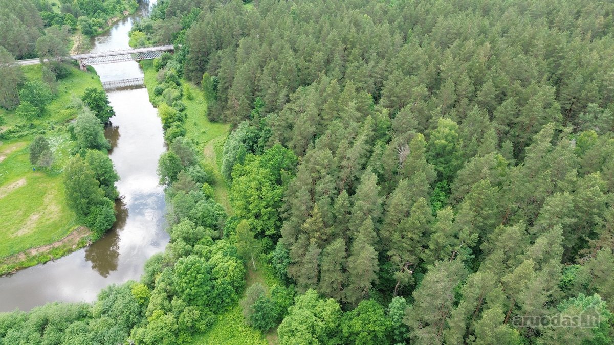 540 metrų Šventosios upės pakrantės ir erdvus - nuotraukos Nr. 10