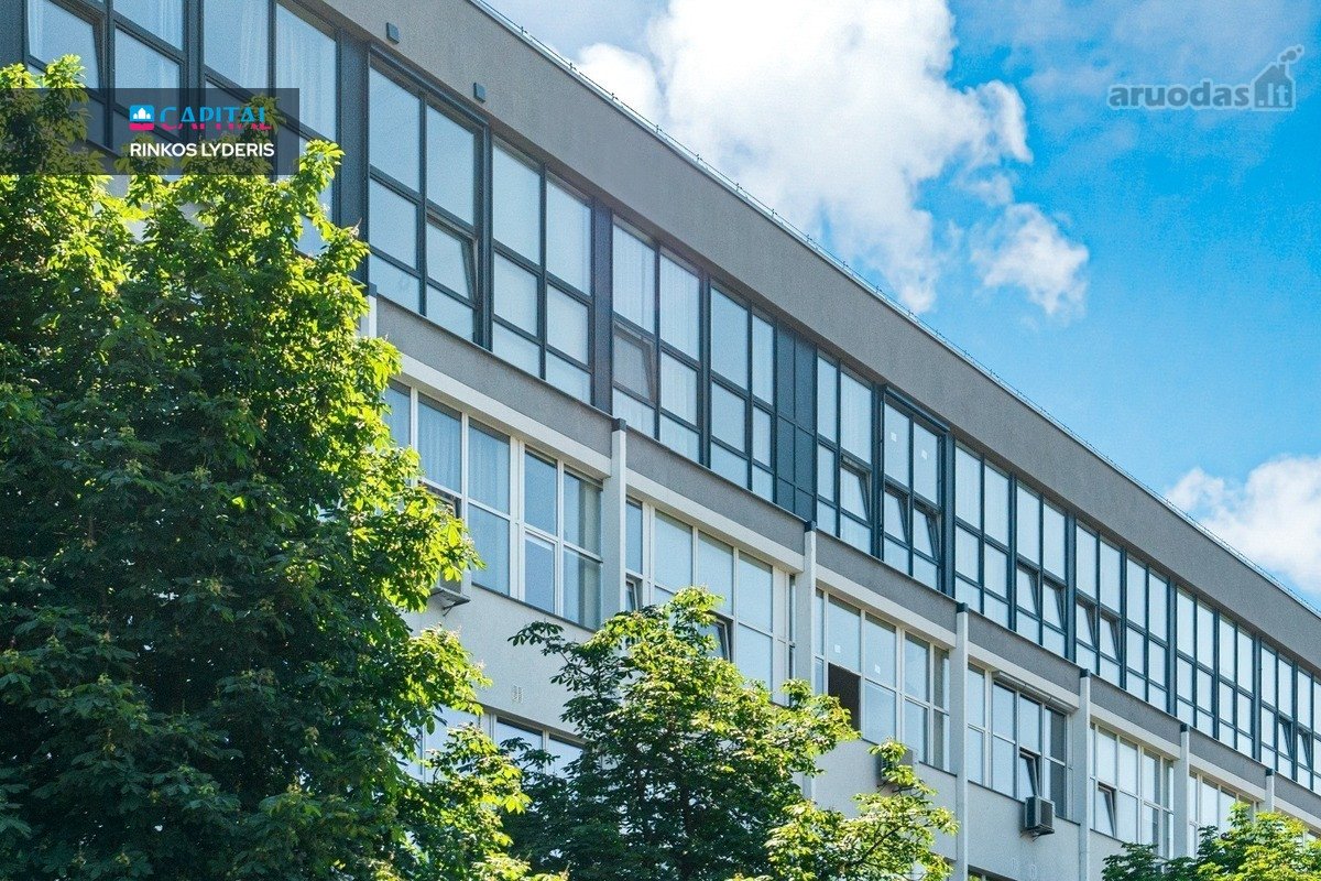 Vytenio Gatvėje , Naujamiestyje, "Loft - nuotraukos Nr. 19