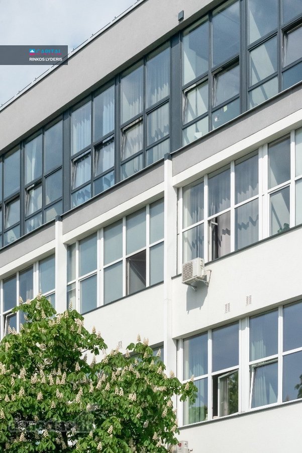 Vytenio Gatvėje , Naujamiestyje, "Loft - nuotraukos Nr. 15