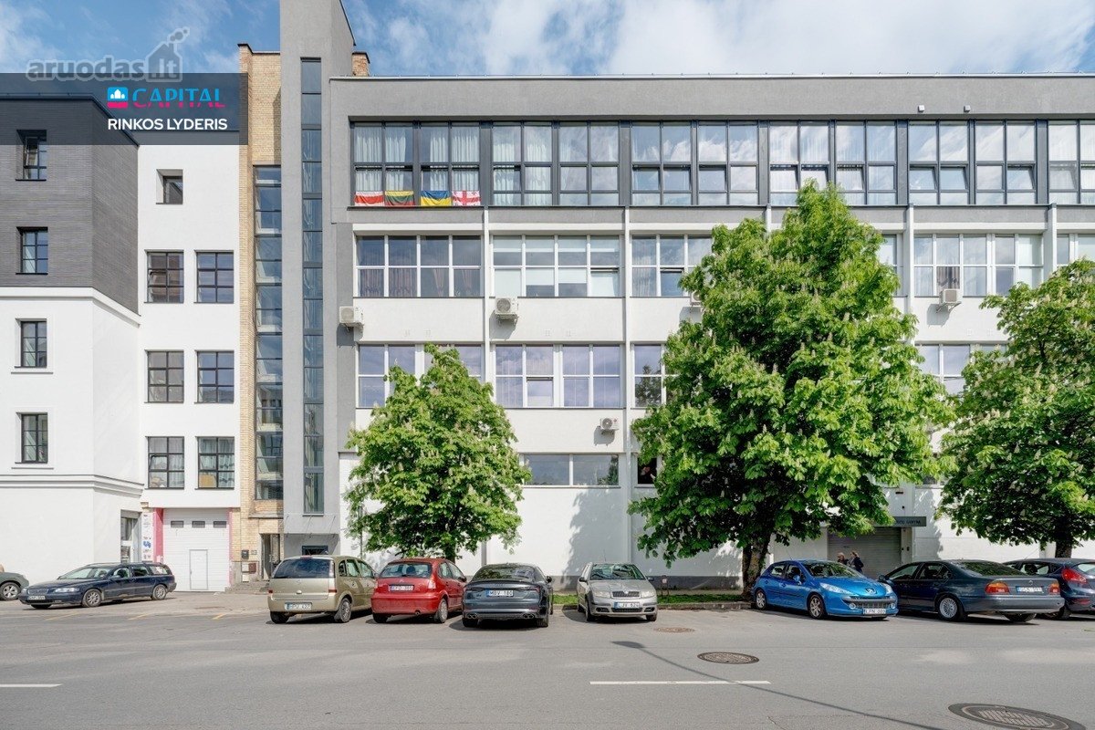 Vytenio Gatvėje , Naujamiestyje, "Loft - nuotraukos Nr. 16