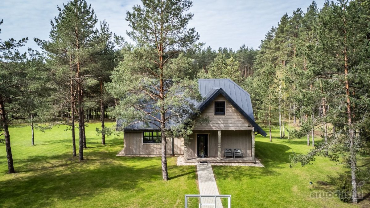 Labanoro girioje prie Ešerinio ežero siūlome - nuotraukos Nr. 18