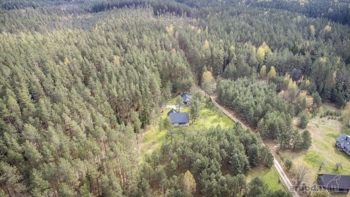 Labanoro girioje prie Ešerinio ežero siūlome - nuotraukos Nr. 19