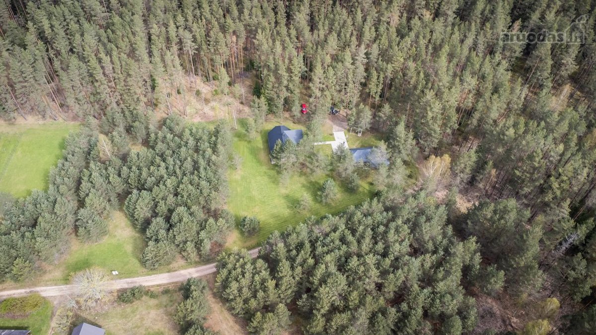 Labanoro girioje prie Ešerinio ežero siūlome - nuotraukos Nr. 21