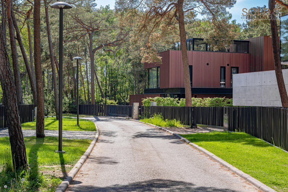Brandžiame pušyne, vos kelios minutės nuo - nuotraukos Nr. 13