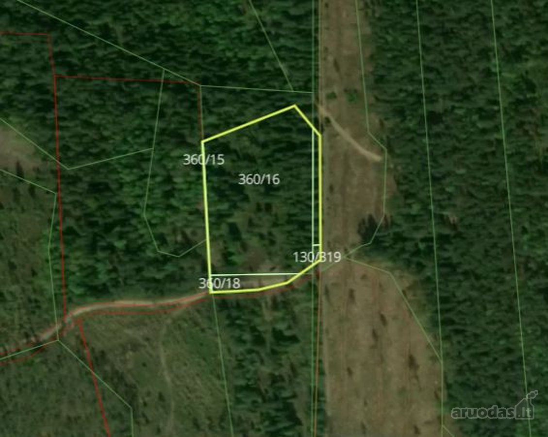 Parduodamas 0,95 ha miškas Ignalinos raj.
